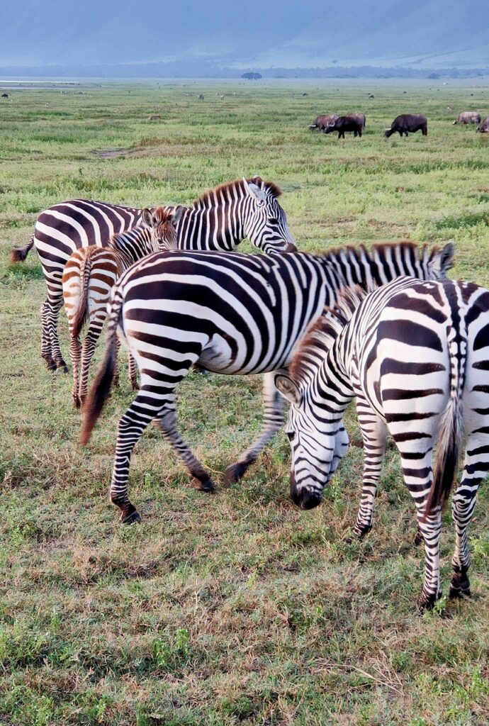 africaclimbersandadventures