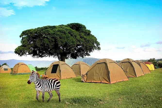 2-day-Camping-safari